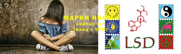 ГАЛЛЮЦИНОГЕННЫЕ ГРИБЫ Абаза