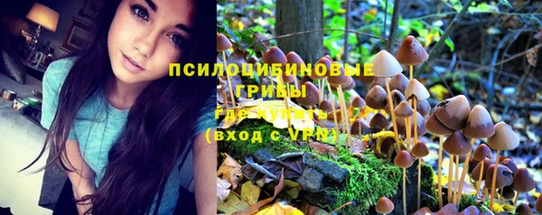 ГАЛЛЮЦИНОГЕННЫЕ ГРИБЫ Абаза