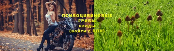 ГАЛЛЮЦИНОГЕННЫЕ ГРИБЫ Абаза