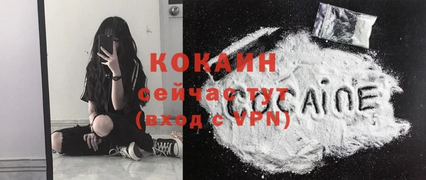 ГАЛЛЮЦИНОГЕННЫЕ ГРИБЫ Абаза