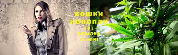 ПСИЛОЦИБИНОВЫЕ ГРИБЫ Абдулино