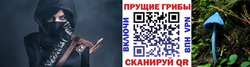 Псилоцибиновые грибы прущие грибы Липецк