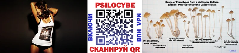 Галлюциногенные грибы Psilocybine cubensis  купить   Липецк 